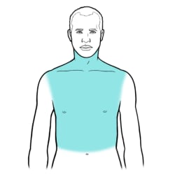 Person with neck, shoulders, chest, and area above belly button highlighted.