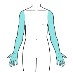Person with arms and hands highlighted.