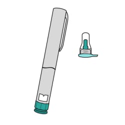 Insulin pen and new needle.