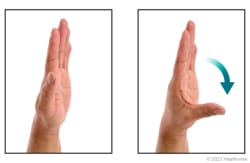 Thumb adduction and abduction