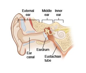 Inside view of external ear, middle ear, and inner ear, showing ear canal, eardrum, and eustachian tube.