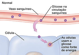 Corte transversal de um vaso sanguíneo e células, mostrando um nível de glicose normal.
