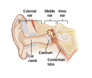Inside view of ear with location of ear canal, eardrum, and eustachian tube.