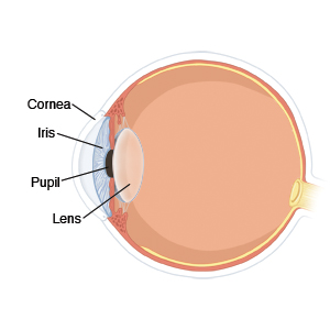 Image of eye anatomy with labels for cornea, iris, pupil, and lens.