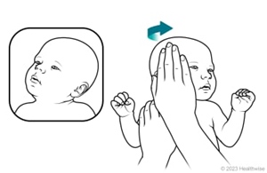 ../images/23c12d4bddff8139ab0c5ab6eda3128f.jpg