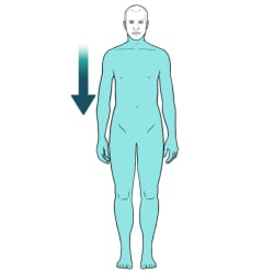 Person standing, with body highlighted from neck down.