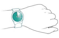 Wristwatch with shading to show elapsed time.