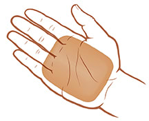 Palm of open hand showing 2 to 3 ounce portion size.